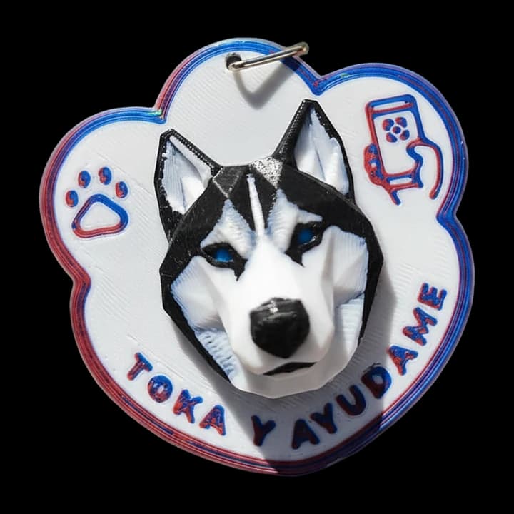 Primer plano de una Huella Toka Husky Siberiano en relieve