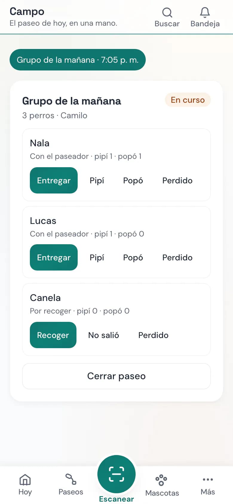 Toka OS en el celular: pantalla de paseo con recogida, pipí, popó y entrega