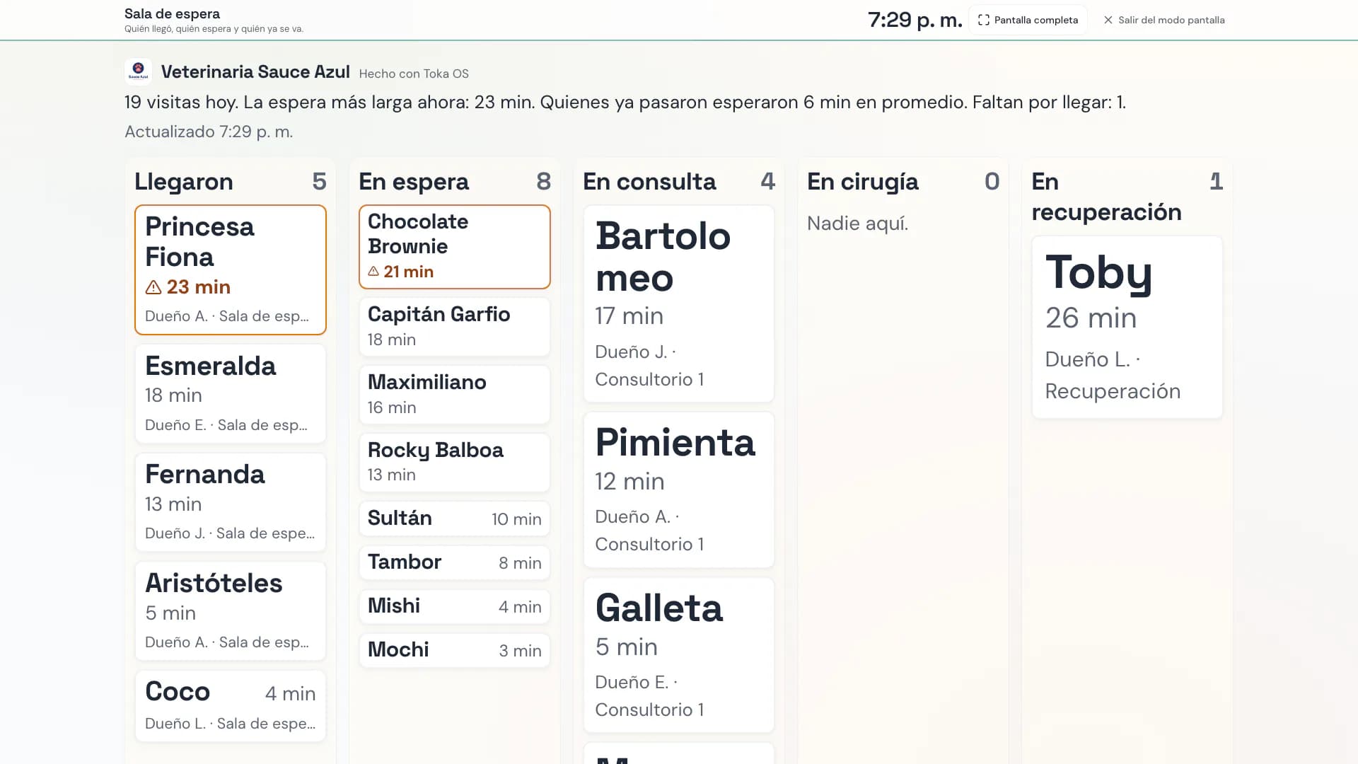 Toka OS en modo pantalla: la sala de espera en el televisor del negocio