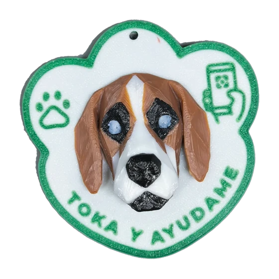 Huella Toka Beagle en color Verde