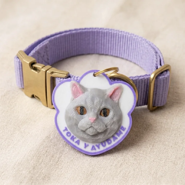 Huella Toka Gato Gris puesta en un collar