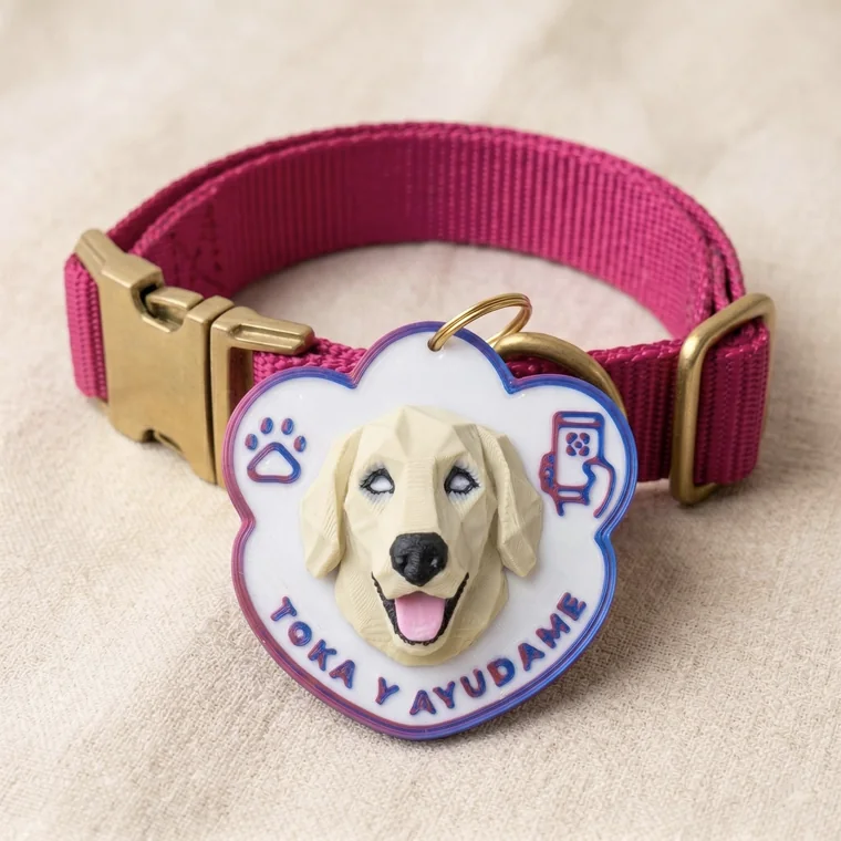 Huella Toka Golden Retriever puesta en un collar